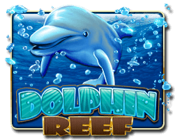 Dolphine Reef