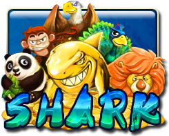 Shark