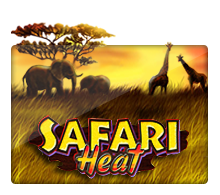 Safari Heat