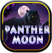 Panther Moon