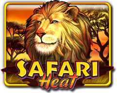 Safari Heat