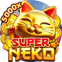 Super Neko