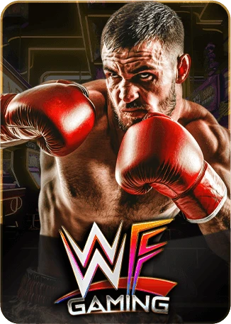 WF Gaming